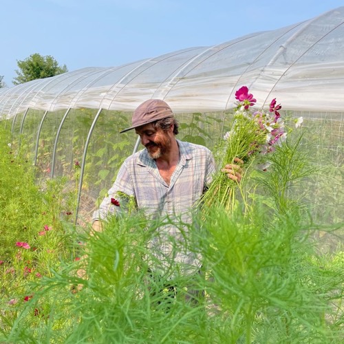 farm flowers